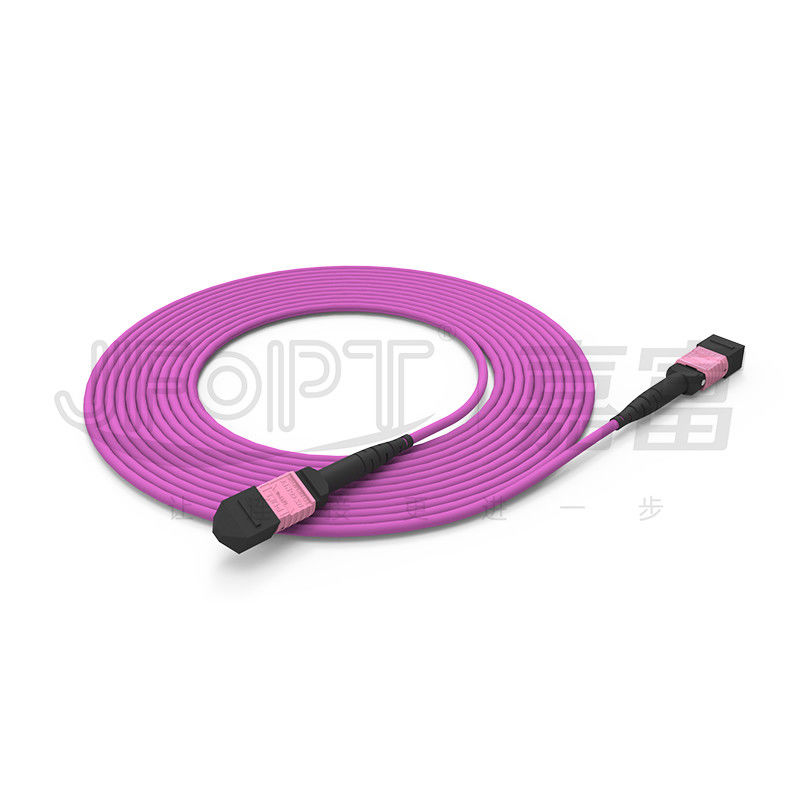 i centri OM4 misto 50/125 LSZH 3.0-4.0mm Heather Violet Jumper del cavo di toppa di 100G MTP 24
