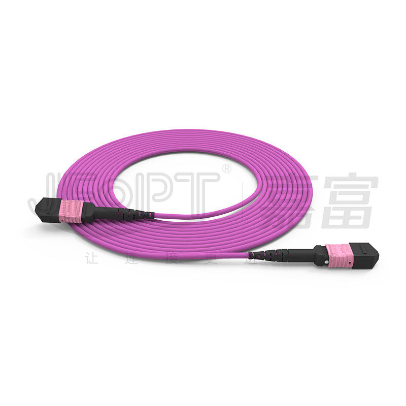 i centri OM4 misto 50/125 LSZH 3.0-4.0mm Heather Violet Jumper del cavo di toppa di 100G MTP 24