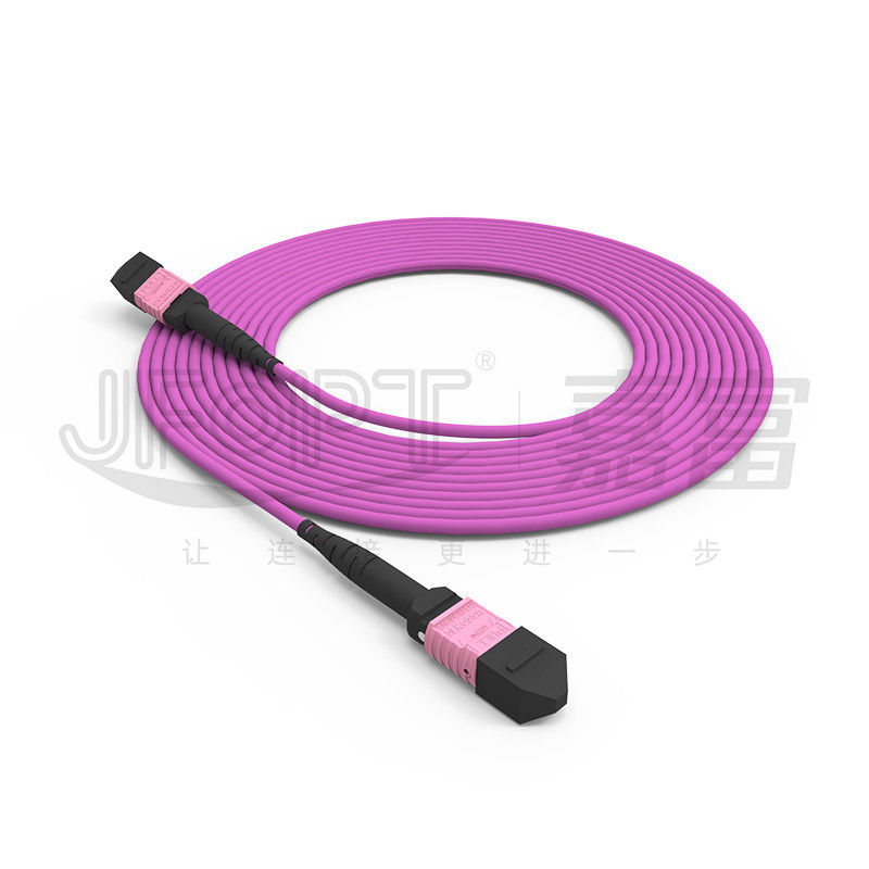 i centri OM4 misto 50/125 LSZH 3.0-4.0mm Heather Violet Jumper del cavo di toppa di 100G MTP 24