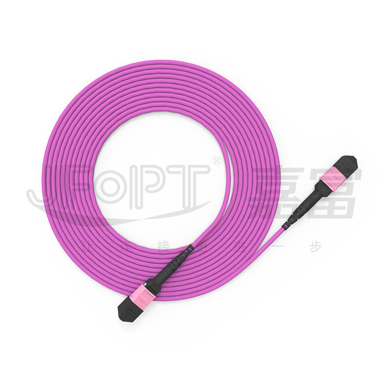 i centri OM4 misto 50/125 LSZH 3.0-4.0mm Heather Violet Jumper del cavo di toppa di 100G MTP 24