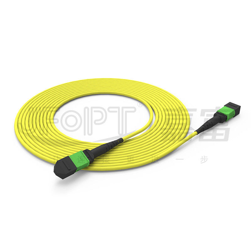 G657A1/G657A2 Perdite standard/basse perdite