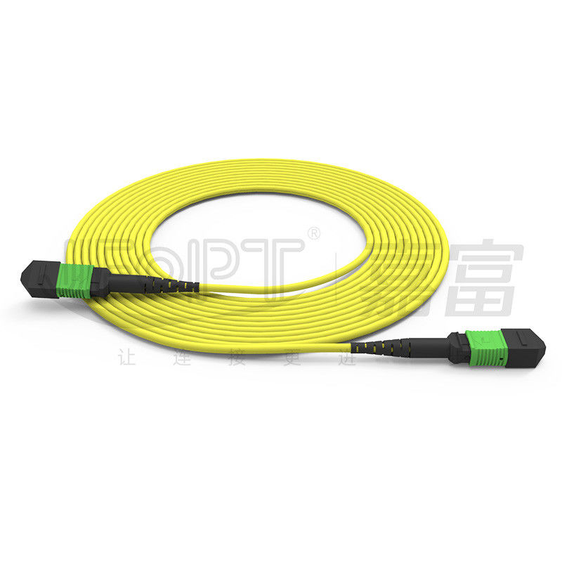 G657A1/G657A2 Perdite standard/basse perdite