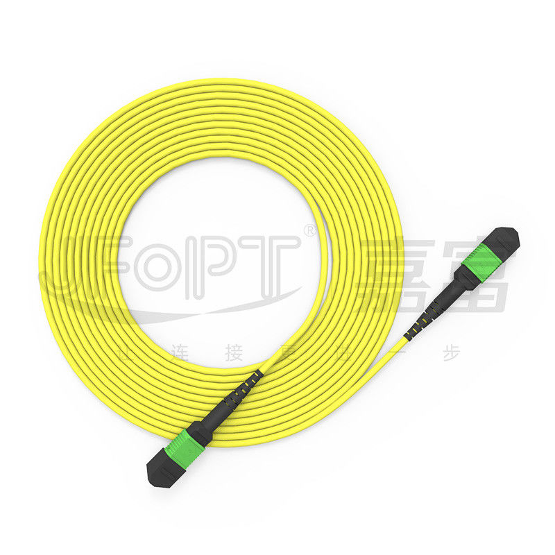 G657A1/G657A2 Perdite standard/basse perdite