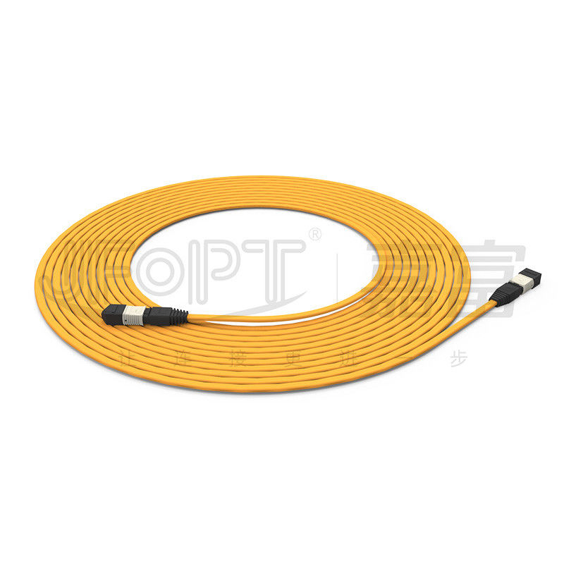 Cavo a tronco ignifugo a 12 nuclei multimodo 50/125 OFNR/OFNP
