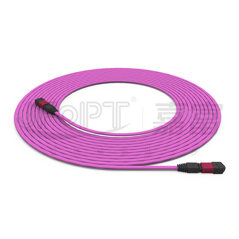 Cavo a tronco ignifugo a 12 nuclei multimodo 50/125 OFNR/OFNP