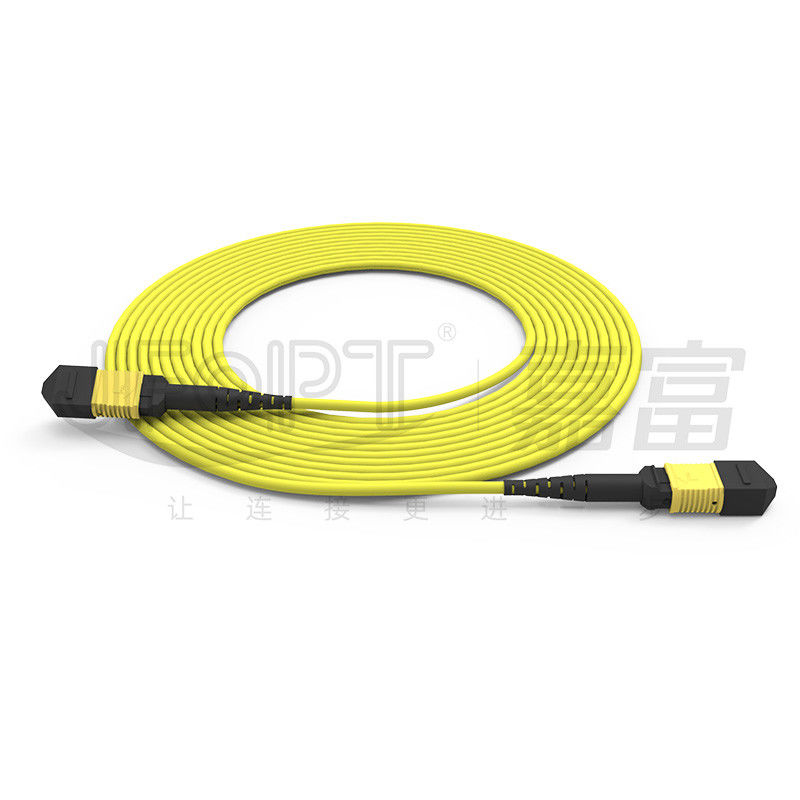 12-core MPO Trunk Cable Patch Cord Single-Mode G657A1/G657A2 3.0 LSZH Inversione della polarità A/B
