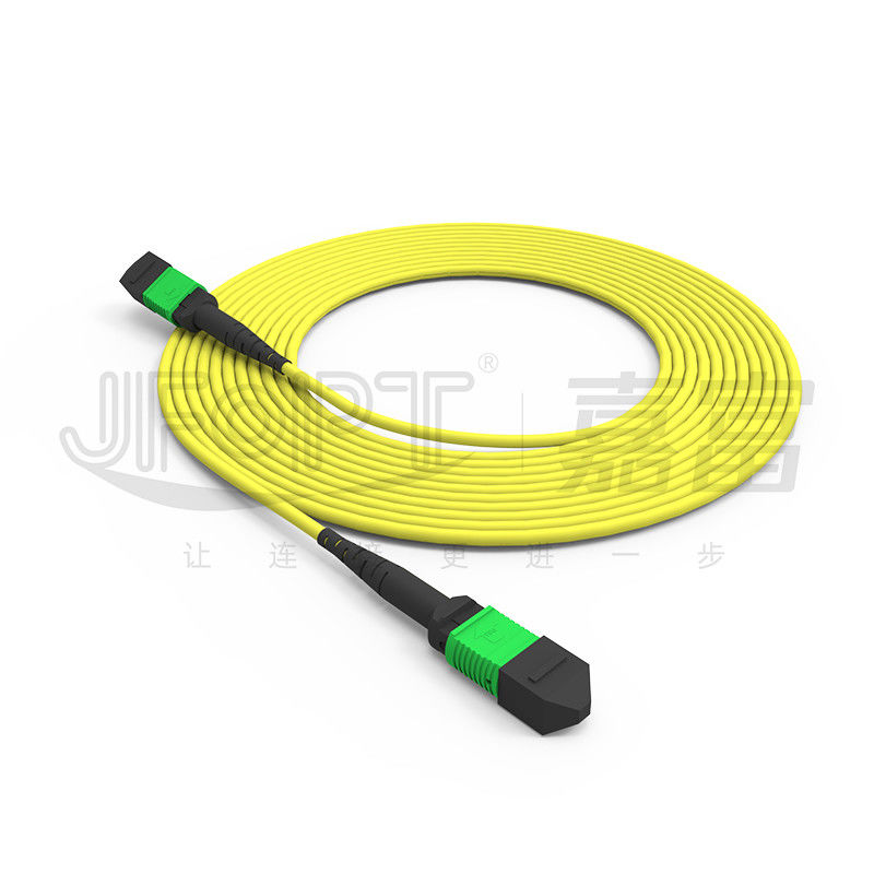 Cable MPO a tronco monomodo a 24 nuclei G657A1/G657A2 Backbone Jumper