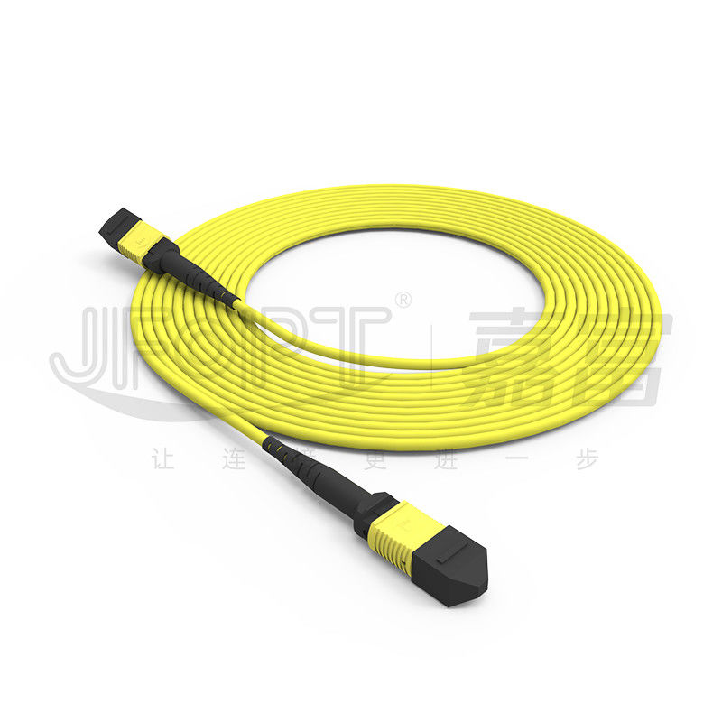 Cable MPO a tronco monomodo a 24 nuclei G657A1/G657A2 Backbone Jumper