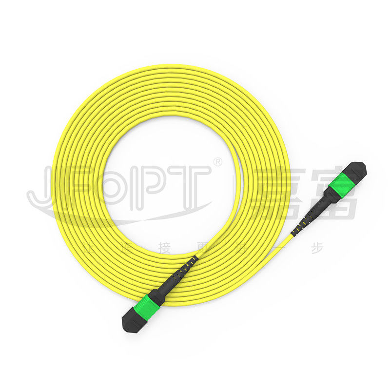 Cable MPO a tronco monomodo a 24 nuclei G657A1/G657A2 Backbone Jumper