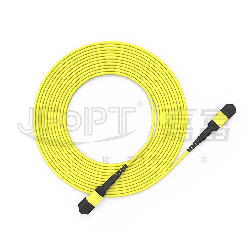 Cable MPO a tronco monomodo a 24 nuclei G657A1/G657A2 Backbone Jumper