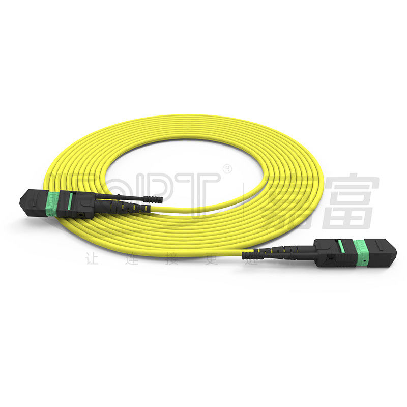 Cavo in fibra ottica mono/multi-modo ad alta densità MTP a 24 core