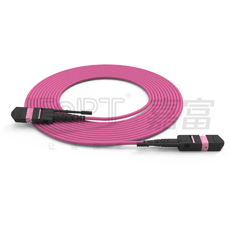 Cavo in fibra ottica mono/multi-modo ad alta densità MTP a 24 core