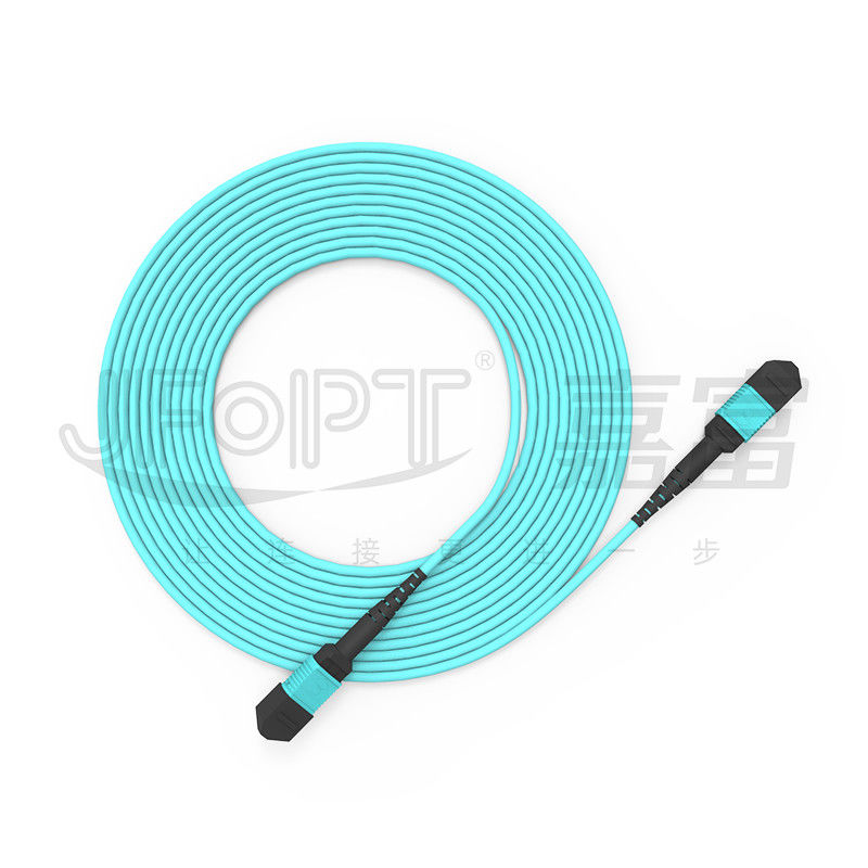 10 Gigabit MPO patch cord Connessione rapida per la connessione del segnale ottico in sala computer