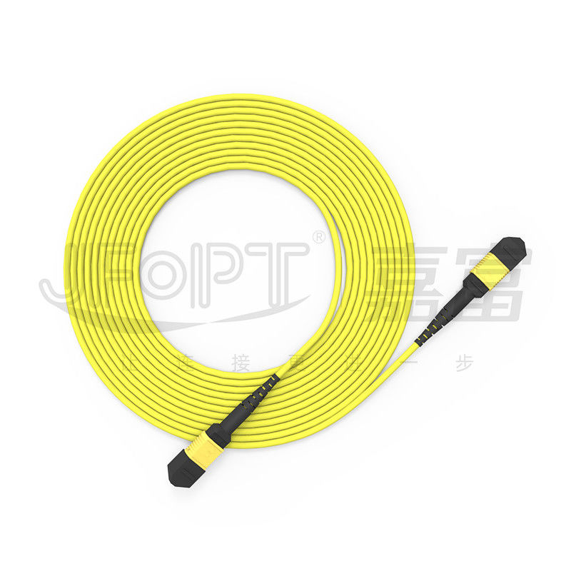 10 Gigabit MPO patch cord Connessione rapida per la connessione del segnale ottico in sala computer