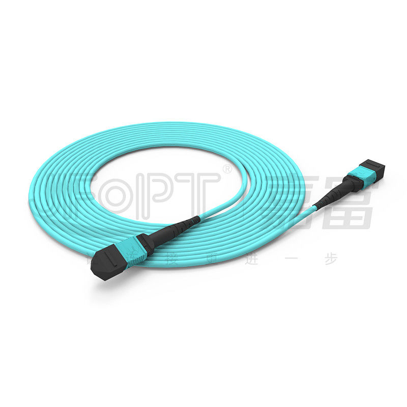 10 Gigabit MPO patch cord Connessione rapida per la connessione del segnale ottico in sala computer