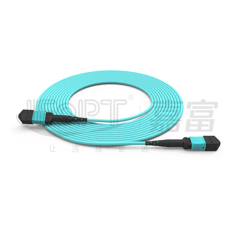 10 Gigabit MPO patch cord Connessione rapida per la connessione del segnale ottico in sala computer